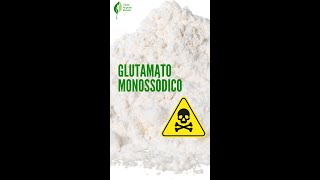 Glutamato monossódico [upl. by Greyso]