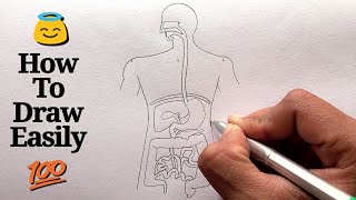 How to draw Human Digestive system step by step for beginners [upl. by Andrel]