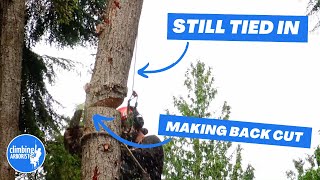 Tree worker makes huge mistake cutting a log he is attached to  CLIMBING ARBORIST BREAKDOWN [upl. by Valda]