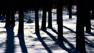 Snowbound by Genesis in 1080p HD [upl. by Fakieh]