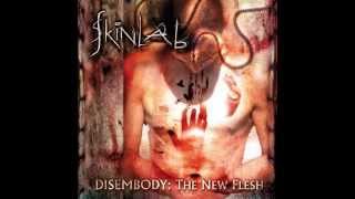 Great Bands You May Not Have Heard Of  17 Skinlab  No Sympathy For The Devil [upl. by Derry614]