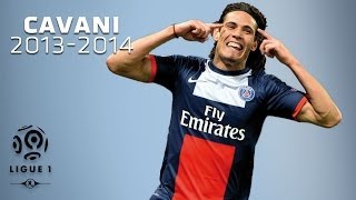 Edinson Cavani  All Goals in 20132014 1st half  PSG [upl. by Alial]