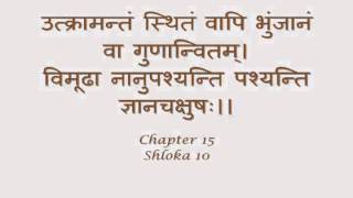 Bhagavad Gita  Sanskrit recitation with Sanskrit text  Chapter 15 [upl. by Einomrah]