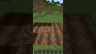 Farmland Fakt in Minecraft [upl. by Iden]