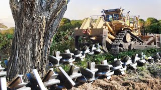 Clearing Wooded Land with Anchor Chain and Bulldozer [upl. by Cedric]