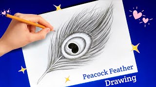 Very Easy Peacock Feather Drawing  How To Draw Peacock Feather Drawing  Pencil Drawing Feather [upl. by Selestina]