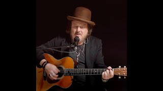 Zucchero  Come Il Sole AllImprovviso Live Acoustic [upl. by Merralee485]