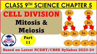 Cell Division Class 9  Mitosis and Meiosis  The Fundamental Unit of Life  Part 11  Biology [upl. by Joli434]