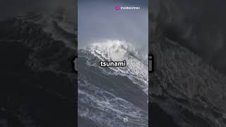 2011 Japan Tsunami The Tragedy and the Fukushima Nuclear Disaster  Historic Mysteries [upl. by Nagard766]