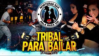 Tribal Para Bailar Edicion 2021  Pala Raza Vip [upl. by Westerfield759]