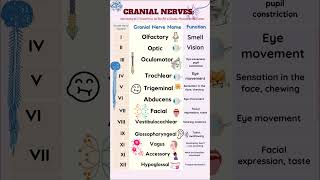 Cranial Nerves nursing cranialnerves [upl. by Jilli]