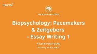 Biopsychology Pacemakers and Zeitgebers Essay Writing 1 [upl. by Alihet120]