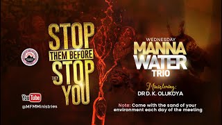 YORUBA  MFM MANNA WATER SERVICE 20032024  DR D K OLUKOYA GO MFM WORLDWIDE [upl. by Cave]