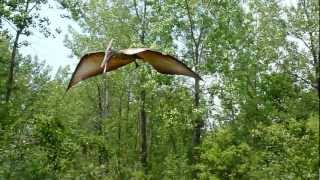 Pterodactyl or Pteranodon at Field Station Dinosaur [upl. by Grishilda]