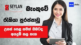 Seylan Bank Job Vacancies in Sri Lanka  Seylan Bank Internships [upl. by Timmy]