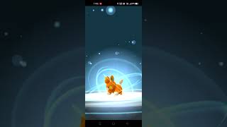 Catching Pokemon pokemongo pokémon shorts shortvideo [upl. by Baillieu653]