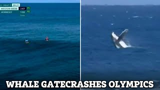 Incredible Moment 2024 Olympics Surfers are Photobombed by a WHALE During Tahiti Semifinal [upl. by Sedecram]