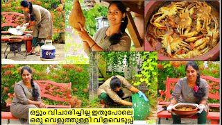 ദൈവമേ ഇതുപോലെ ഒരു വെളുത്തുള്ളി വിളവെടുപ്പു നിങ്ങൾ ആരും കണ്ടിട്ടുണ്ടാവില്ല ഞണ്ടു കറിയും OUTSIDE VLOG [upl. by Dent428]