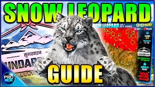 Snow Leopard Guide  How to hunt Snow Leopards on Sundarpatan  the Hunter Call of the Wild [upl. by Hnid467]