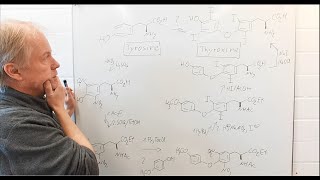 Why two methods for iodinations in the synthesis of thyroxine  Chemistry of Medicinal Drugs 8 [upl. by Ennaj]