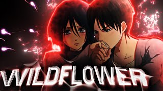 Eren amp Mikasa 「 AMVEDIT」 Billie Eilish  WILDFLOWER [upl. by Lotti]