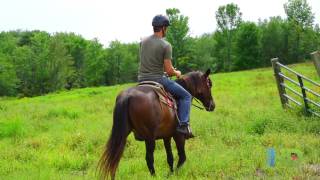 Villa Roma Resort Catskills New York Overview [upl. by Sonia]