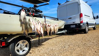 Nueces River  White Bass Kayak Fishing [upl. by Aicilana]