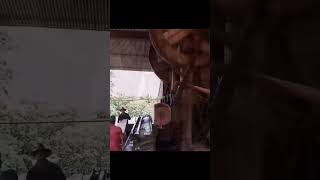 Wood veneer machine woodworking oldmachine woodwork machinery woodveneer wood ingenious tv [upl. by Ursal]