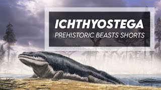 Ichthyostega  Devonian Stem Tetrapod [upl. by Hermina920]