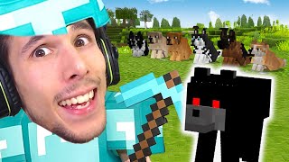 A CACCIA DELLA NUOVA RAZZA di CANI nel NUOVO MINECRAFT  Gabby VANILLA LIVE [upl. by Nyrhtakyram861]