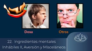 22 Ingredientes mentales Inhábiles II Aversión y Misceláneos [upl. by Arotak]