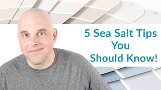 5 Sherwin Williams Sea Salt Tips Everyone Should Know [upl. by Alet]