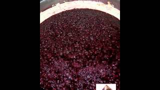 Vinification en rouge  macération [upl. by Sabir]