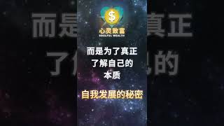 你真的了解自己吗？掌握自我发展的关键秘密！ 第85天  心灵致富 Soulful Wealth [upl. by Eatnuahc]