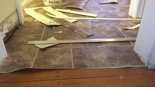 How to transition vinyl floors to hardwood floors carpettoolzcom [upl. by Acquah]