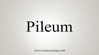 How To Say Pileum [upl. by Intirb]