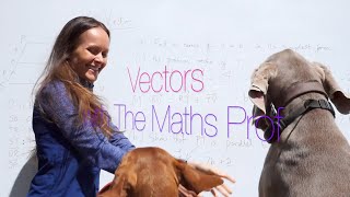 The Maths Prof Vectors part 2 [upl. by Ahtnams]