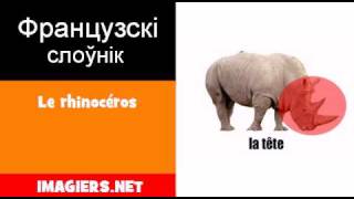 Вывучэнне французскага мовы  Le rhinocéros [upl. by Gerladina]