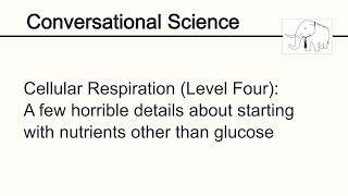 Cellular Respiration Level Four Nutrients other than glucose [upl. by Morissa]