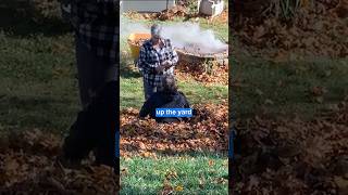 Grandparents have fun playing in leaf pile ❤️ ￼ [upl. by Zeph]