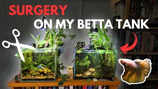 Betta Fish Tank MAKEOVER [upl. by Aivato56]