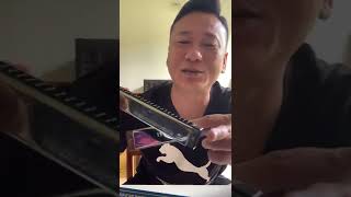 kèn harmonica tremolo britonesao lạ vậy âm thanh sẽ như thế nào [upl. by Eirok]