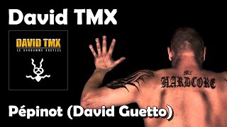 Pépinot David Guetto  David TMX HD [upl. by Naillig]