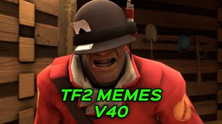 TF2 MEMES V40 [upl. by Philbin]