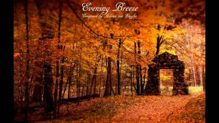 Relaxing Celtic Music  Evening Breeze [upl. by Atterual]