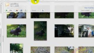 Picasa 3  Library View [upl. by Issiah]