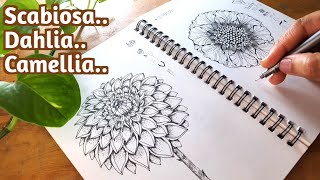 How To Draw Flowers  Step By Step CAMELLIA DAHLIA amp SCABIOSA [upl. by Ahsenal859]