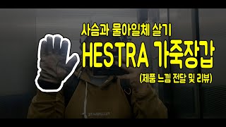 스웨덴 사슴과 물아일체되기 헤스트라 사슴가죽장갑HESTRA Deerskin Gloves제품 느낌 전달 및 리뷰 [upl. by Carl]