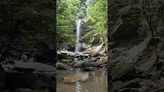 The beautiful Avocat Waterfall Trinidad [upl. by Seraphim369]