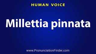 How To Pronounce Millettia pinnata [upl. by Cohlier]